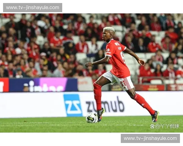 巅峰对决：红鹰翱翔，南大王来袭！本菲卡VS拜仁慕尼黑，一场不容错过的足球盛宴